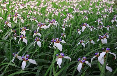 《WRC 10》首个免费升级推出 增加新时间＆赛车